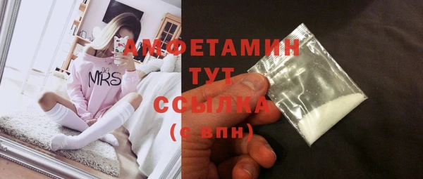 шишки Весьегонск
