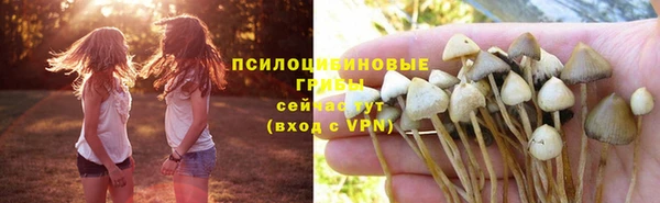 альфа пвп Новозыбков