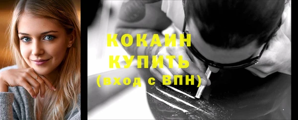 ПСИЛОЦИБИНОВЫЕ ГРИБЫ Новодвинск