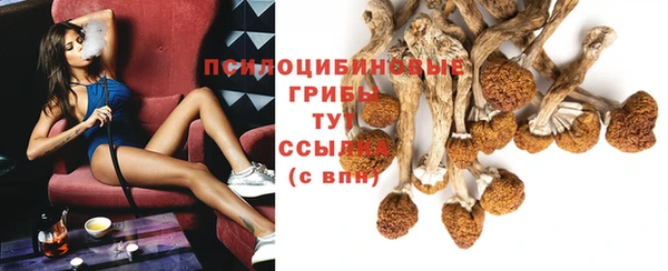 тгк Новокубанск