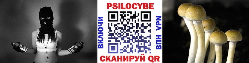 продажа наркотиков  MEGA зеркало  Галлюциногенные грибы Psilocybine cubensis  Островной 